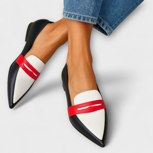 Pointed-Toe Color Matching Flats