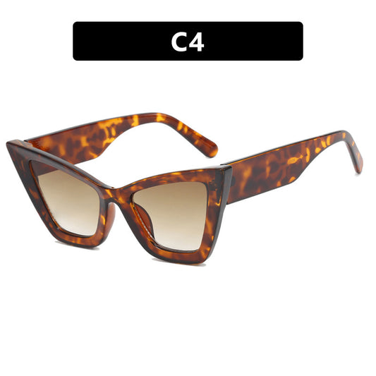 Large Cat Eye Simple Frame Sunglasses