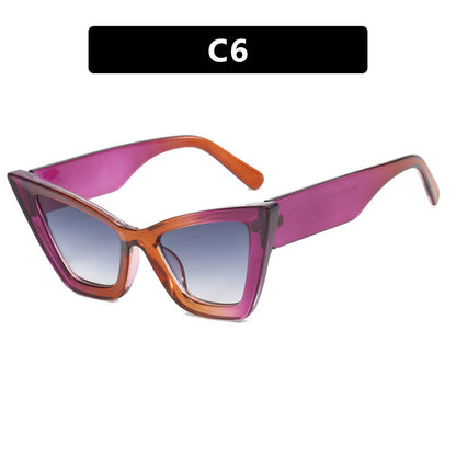 Large Cat Eye Simple Frame Sunglasses